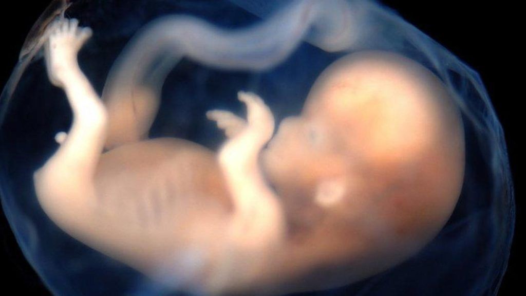 Mejorar la implantación de embriones y lograr más embarazos